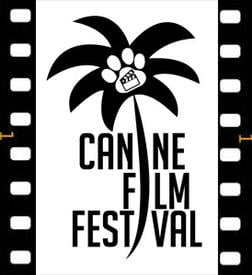 Read more about the article Canine Film Festival in Miami Holding Auditions for Dogs