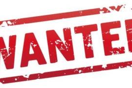 Wanted web series