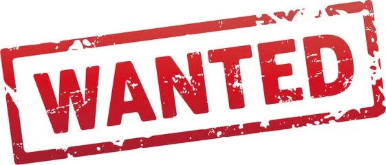 Wanted web series