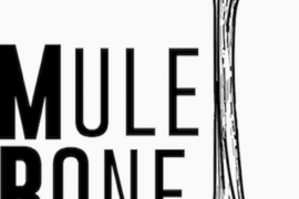 Mule Bone