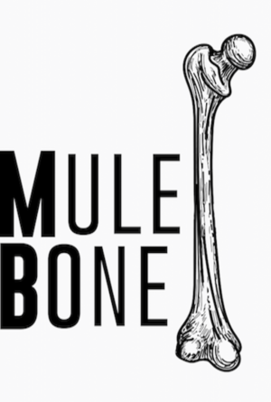 Auditions in San Diego, African American Male Actors Ages 18-70 for Theater Project “Mule Bone”