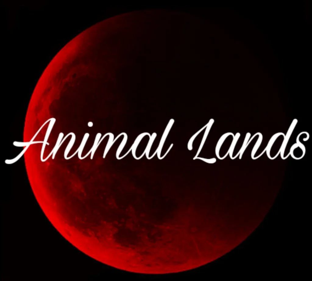 Animal Land