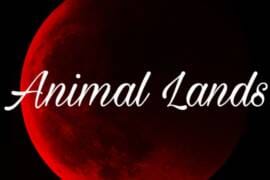 Animal Land