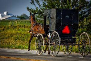 Casting Call for Amish Family Nationwide for Upcoming Docu-Series