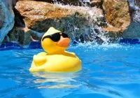 Actingh job is San Diego CA for Water Park show host