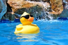 Actingh job is San Diego CA for Water Park show host