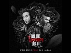 Model Auditions in Miami for Lead Role in Don Omar and Chacal Music Video