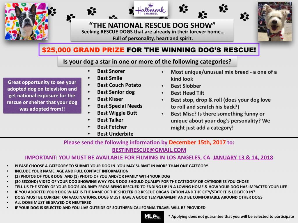 Doggie Casting Call Nationwide for Hallmark Channel Special “The National Rescue Dog Show
