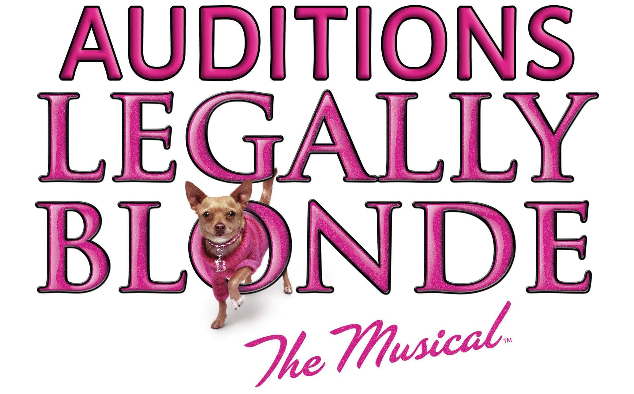 Theater Auditions in South Orange New Jersey for “Legally Blonde” The