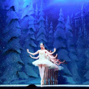 Read more about the article Dancer Auditions for The Nutcracker Ballet in Naperville Illinois