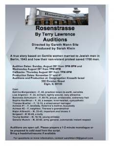 Read more about the article Auditions in Chicago for Theater Production “Rosenstrasse” by Terry Lawrence