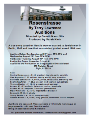 Auditions in Chicago for Theater Production “Rosenstrasse” by Terry Lawrence
