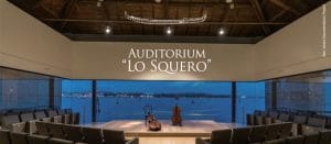 Read more about the article Auditions for Italian Opera Workshop – Ethnically Mixed Singers