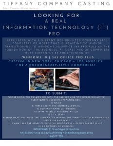 Read more about the article Casting IT Pros for Docu-Series