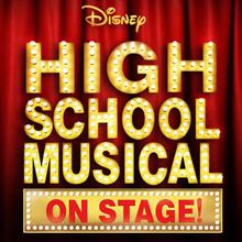 Read more about the article Disney’s High School Musical Auditions in Thousand Oaks CA (L.A. Area)