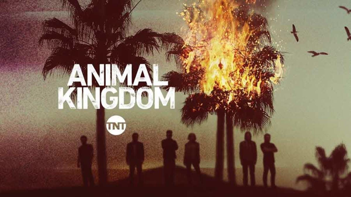 Open Casting Call in Oceanside California for Animal Kingdom 2019