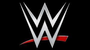 Read more about the article Auditions for The Next WWE Female Superstar