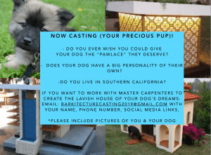 Casting Call for Dogs in Los Angeles for Dog House Show