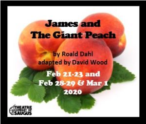 Read more about the article Theater Auditions in Boston Area for “James and the Giant Peach”