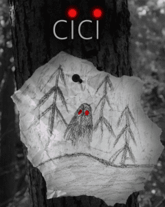 Read more about the article Auditions for Roles in “Cici” Movie in Chicago Illinois