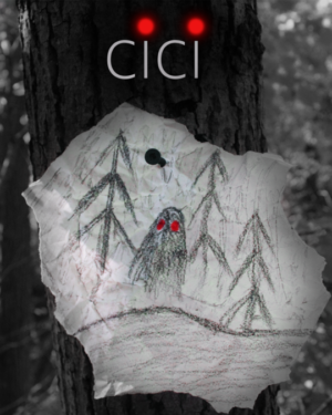 Auditions for Roles in “Cici” Movie in Chicago Illinois
