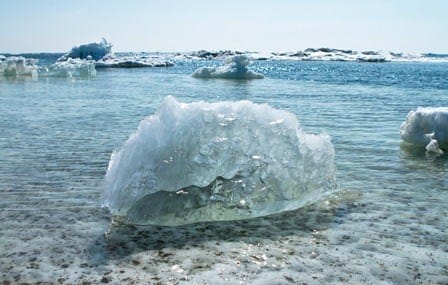 Read more about the article Casting People Passionate About Climate Change for Documentary Project
