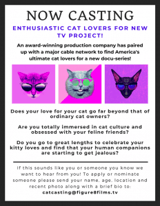 Read more about the article Reality TV Casting Call for Cat Lovers Nationwide