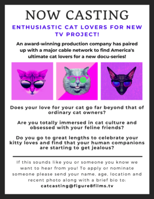 Reality TV Casting Call for Cat Lovers Nationwide