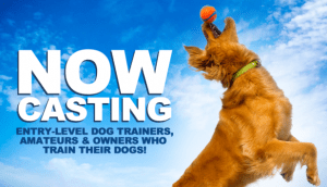 Casting Aspiring Dog Trainers in Los Angeles