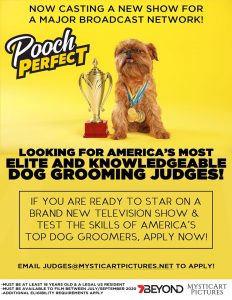 Read more about the article Casting Call for The Top Dog Groomers in America for “Pooch Perfect”