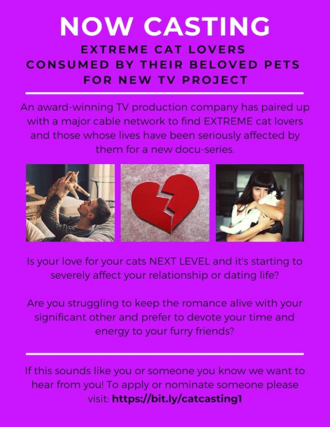 Casting Cat Lovers for TV Show Auditions Free