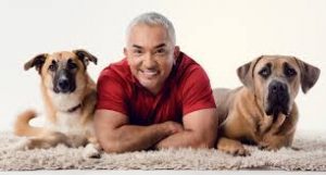 Read more about the article Casting People And Their Pets in Southern California for “Cesars Way”
