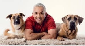 Read more about the article Casting People And Their Pets in Southern California for “Cesars Way”