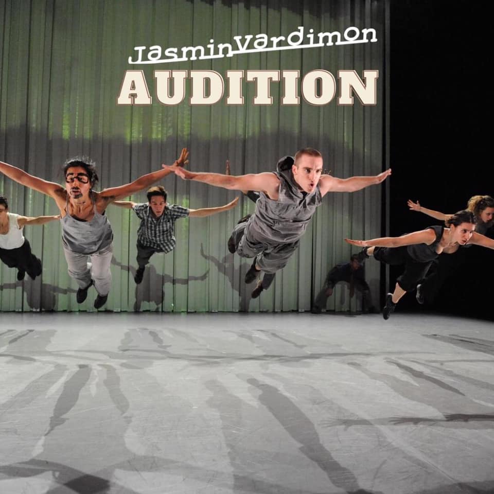 Read more about the article Video Auditions for Dancers and Performers