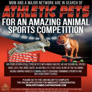 Now Casting Pets of All Kinds for Animal Competition Reality Show