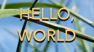 Read more about the article Rush Call in NYC for Actress on “Hello World” Film