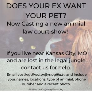 Casting Call in Kansas City for Ex’s Fighting Over A Pet