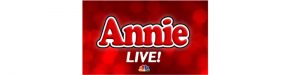 Read more about the article Open Auditions for Kids, NBC’s Annie Live!