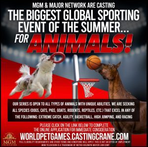 Pet Casting Call for Athletic Animals