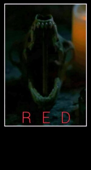 Casting Call in Colorado Springs, Colorado for Short Film “Red”