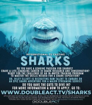 Show Casting Shark Enthusiasts