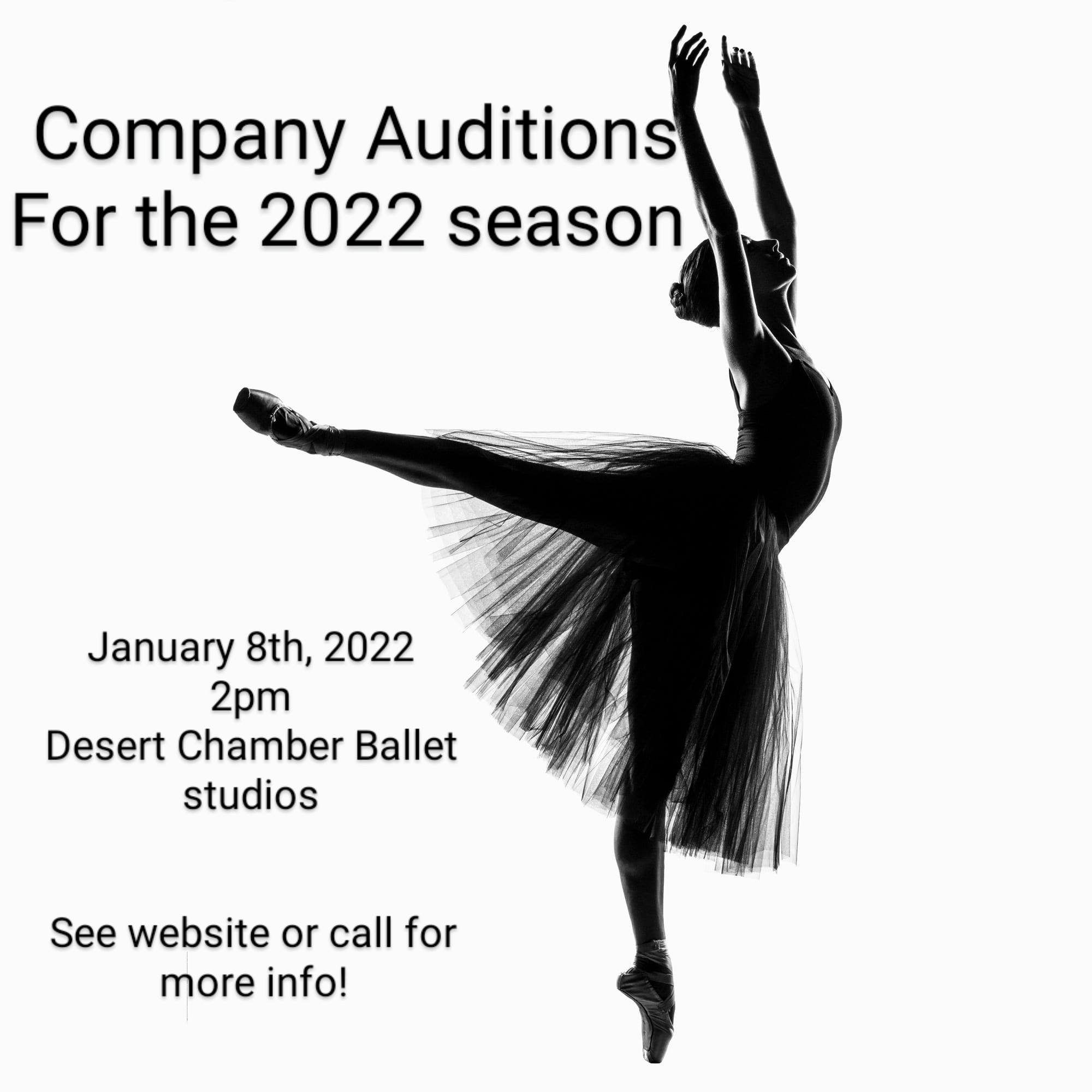 Read more about the article Ballet Dance Auditions in Las Vegas, Nevada
