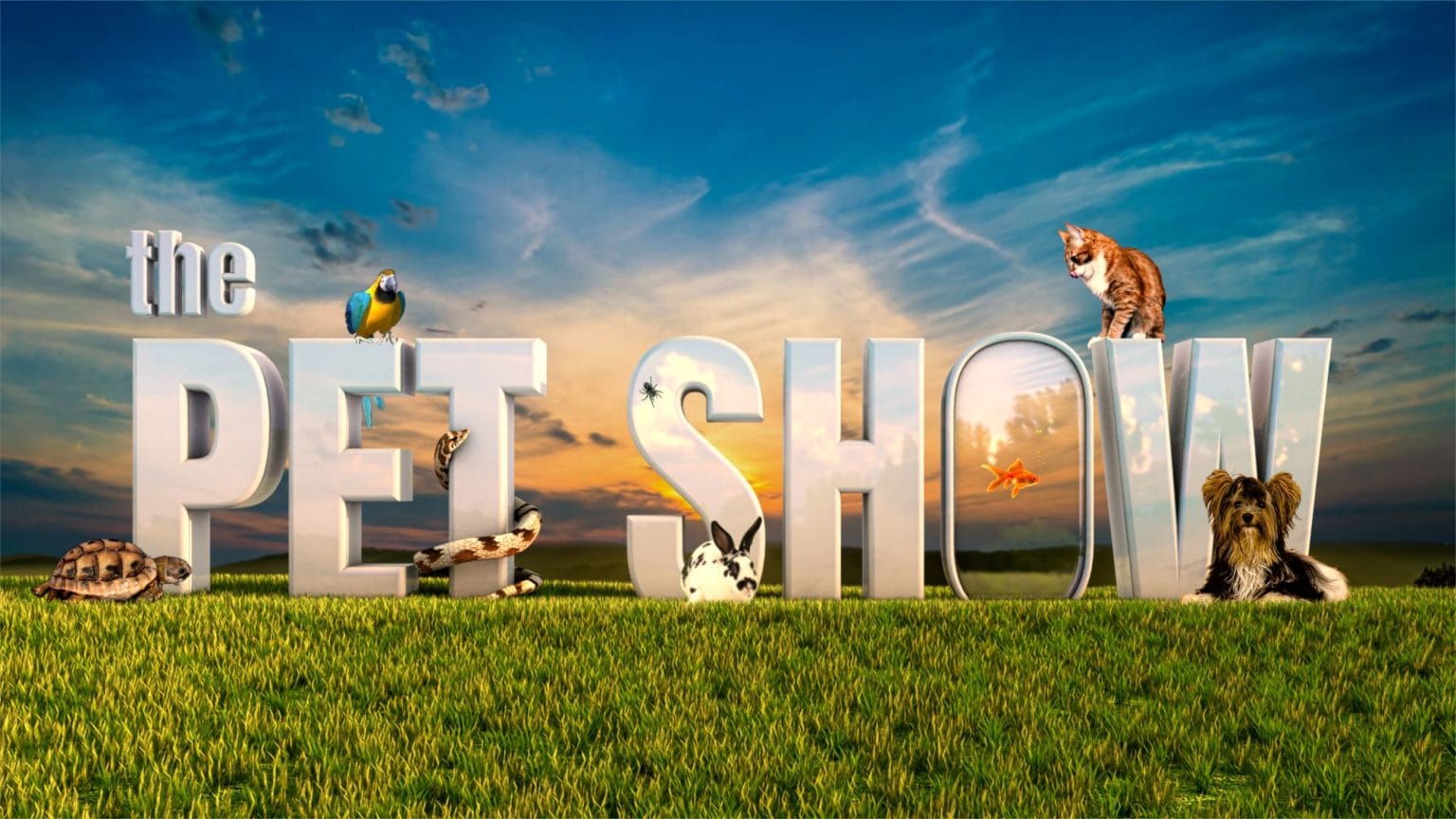 UK Casting Call for Pets and Their Owners on ITV’s The Pet Show