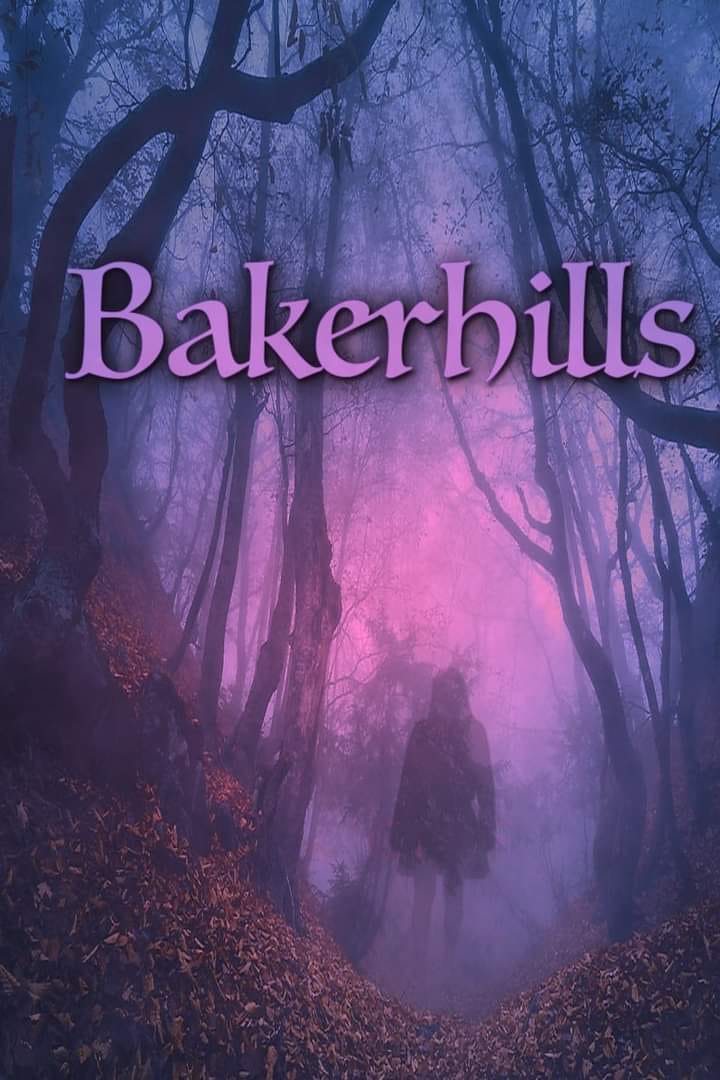 Read more about the article Casting Actors in Louisiana for Film Project “Bakerhills”