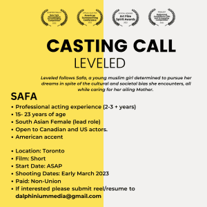 Read more about the article Indie Film Audition in Toronto, Ontario, Canada for “Leveled”