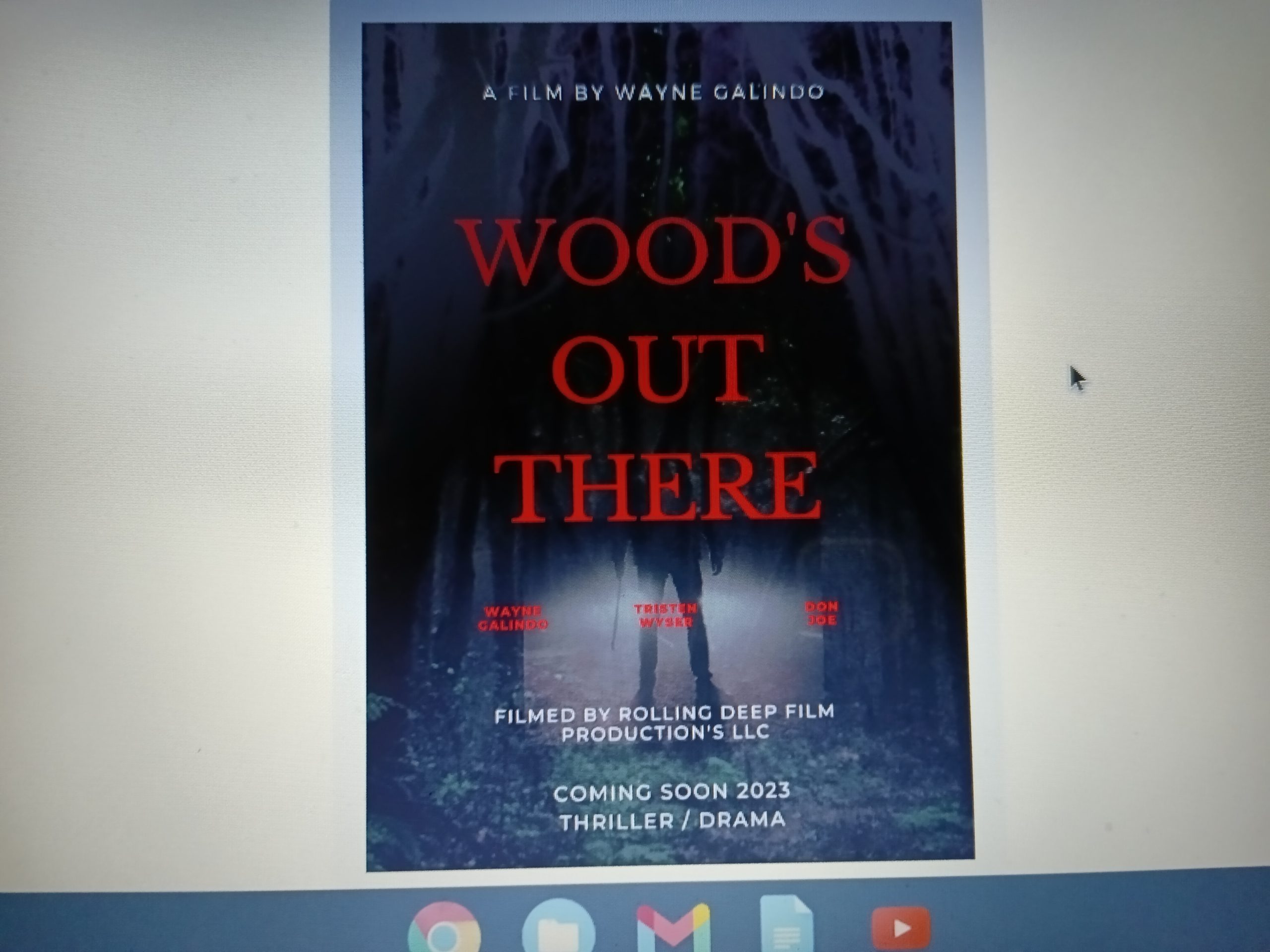 Read more about the article Casting Call in South Carolina for Extras “Woods Out There”