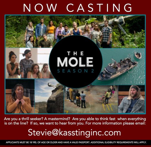Netflix casting notice info graphic and casting notice for The Mole.