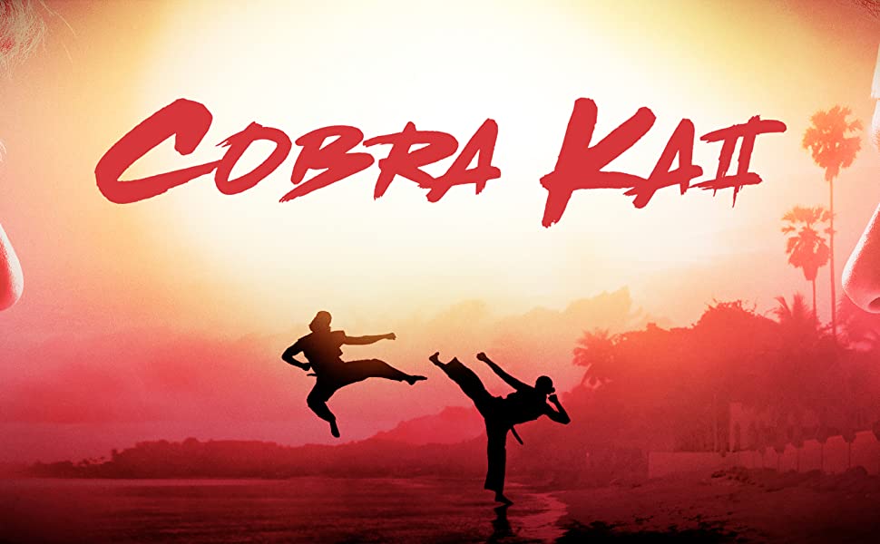 Connecticut teen stars in Netflix show 'Cobra Kai,' based on 'The