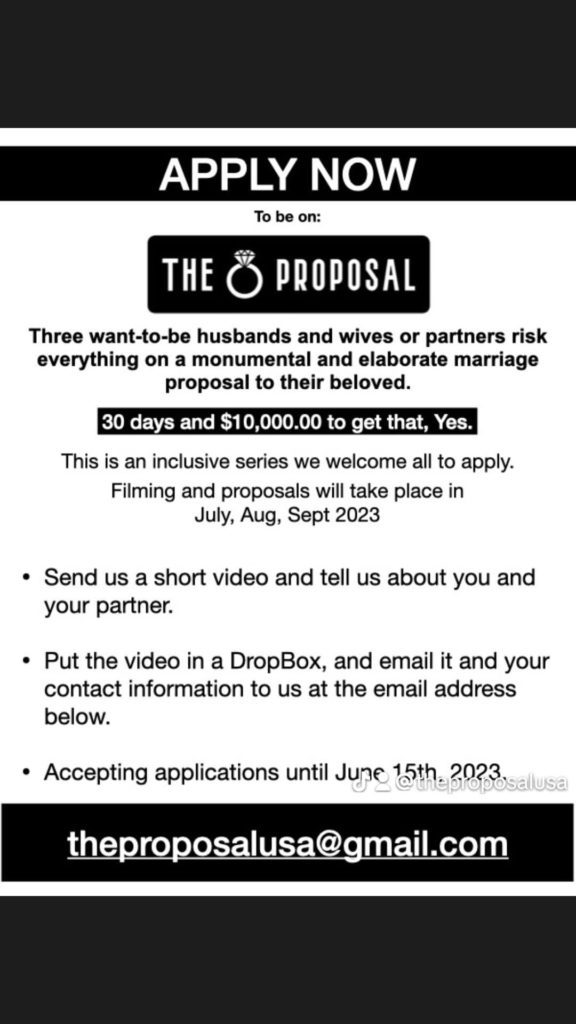 The Proposal infographic for casting call