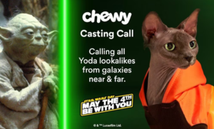 Chewy Holding a Pet Casting Call – Asking, Does Your Pet Look Like Yoda?